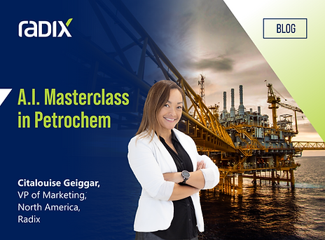 AI Masterclass in Petrochem