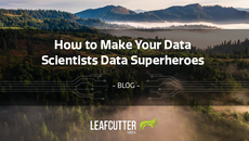 Leafcutter Blog - How to Make your Data  Scientists Superheroes